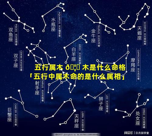五行属木 🦈 木是什么命格「五行中属木命的是什么属相」
